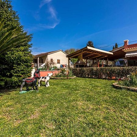 Antonela Sunshine Apartment By Corfu Escapes Perama  Exteriör bild