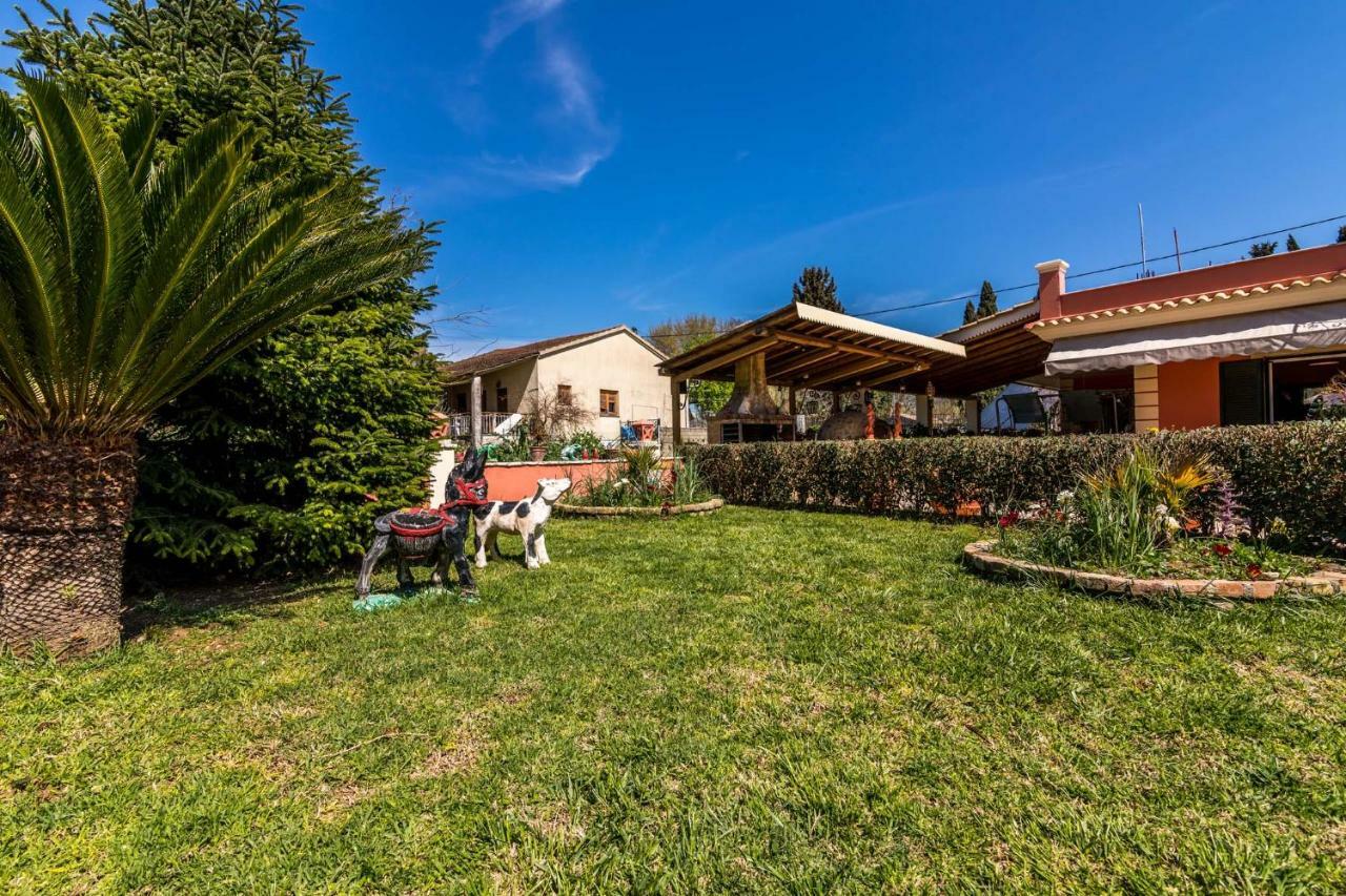 Antonela Sunshine Apartment By Corfu Escapes Perama  Exteriör bild
